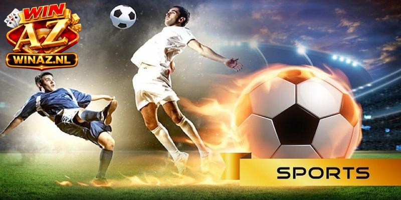 Sảnh thành công kiến tạo nên một không gian giải trí chuyên nghiệp